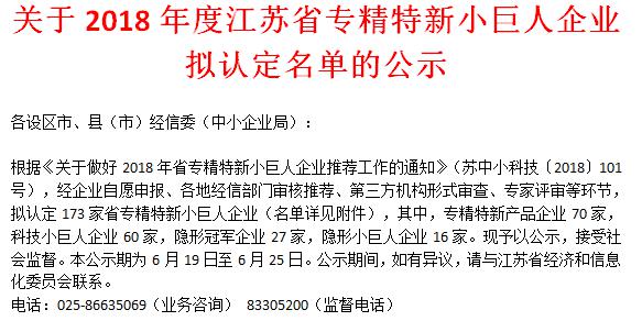 喜讯！金年会科技荣获“江苏省科技小巨人企业”